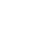 Multiple Revenue Streams